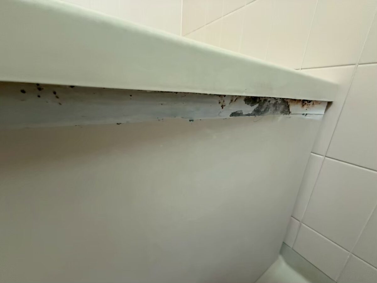 施工前 エプロン上部のコーキングに発生した黒カビ