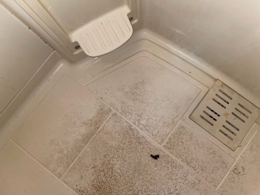 施工前、座面のある角と排水口のふた。床に黒い点状の汚れがある