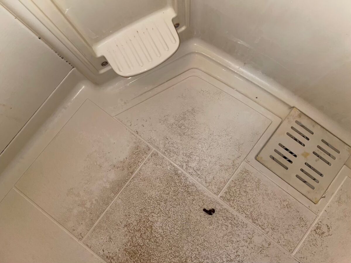 施工前、座面のある角と排水口のふた。床に黒い点状の汚れがある